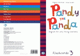 PANDY THE PANDA Flashcards 3
